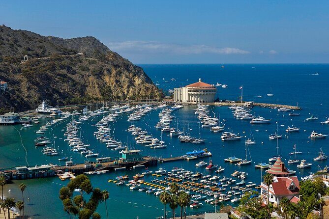 Catalina Island w/Discover Avalon Scenic Tour & Hotel transfers - Practical Tips for Your Trip