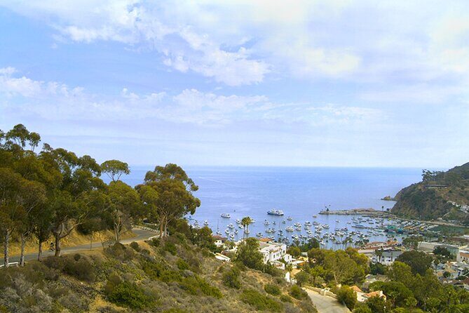Catalina Island w/Discover Avalon Scenic Tour & Hotel transfers - Frequently Asked Questions
