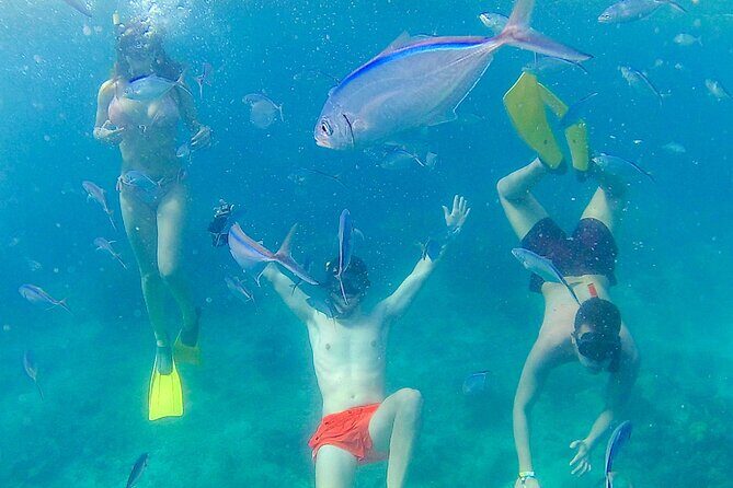 Catalina Island with Altos de Chavon - Full Day All Inclusive - The Practicalities