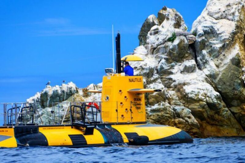 Catalina Island: Yellow Semi-Submarine Cruise - Catalina Island: Yellow Semi-Submarine Cruise Review
