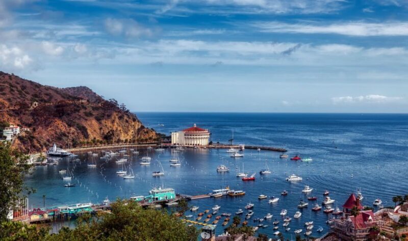 Catalina Island: Yellow Semi-Submarine Cruise - Exploring the Nautilus Semi-Submarine Experience