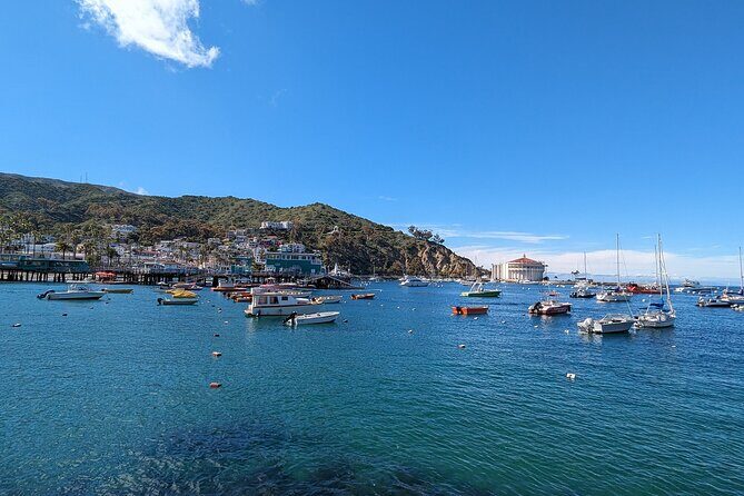 Catalina Scavenger Hunt Walking Tour and Game - Deep Dive into the Experience