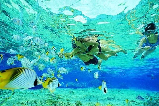 Catamaran Adventure Full Day: Ile aux cerfs,GRSE Waterfall,Snorkeling &BBQ Lunch - Final Thoughts