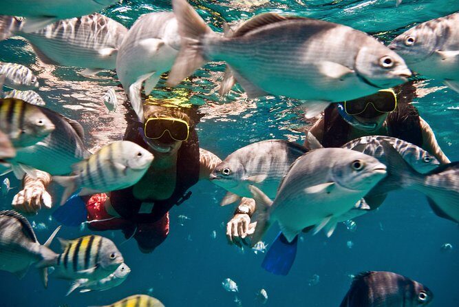 Catamaran and Snorkeling Cruise At Carlisle Bay - FAQ