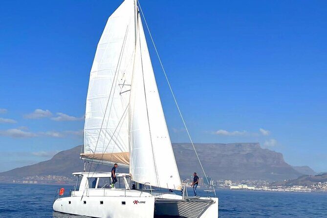 Catamaran Cruise in Cape Town - An In-Depth Look at the Cape Town Catamaran Cruise