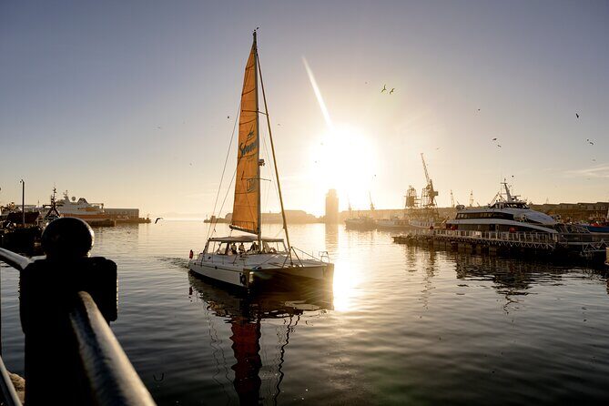 Catamaran Cruise in Cape Town - The Sum Up