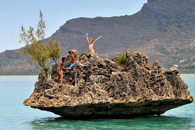 Catamaran Cruise to Ile Aux Bénitiers: Dolphin watch, Crystal Rock & Transfer - Practical Tips for Booking and Preparing