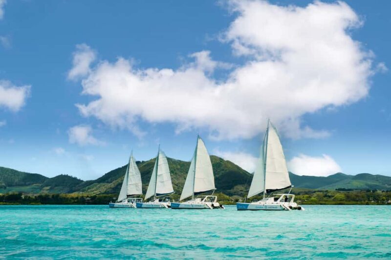Catamaran Cruise to île aux Cerfs w Dolphins watch & Lunch - Key Points