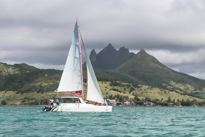 Catamaran cruise to Ile aux cerfs with bbq lunch - Why This Tour Offers Great Value