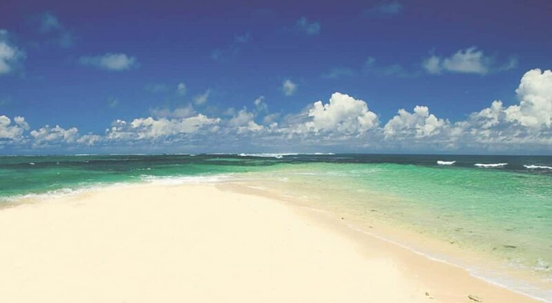 Catamaran Cruise to Ile Aux Cerfs with Lunch & Drinks - Key Points