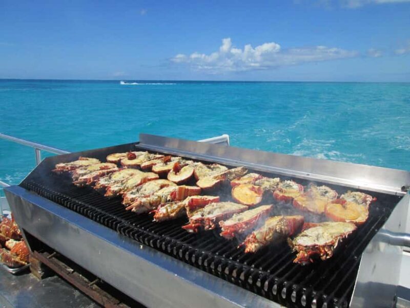 Catamaran Cruise to Ile Aux Cerfs with Lunch & Drinks - Additional Considerations