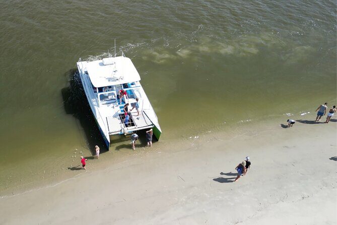 Catamaran Dolphin Cruise in Myrtle Beach with Barrier Island Stop - Who Will Love This Tour?