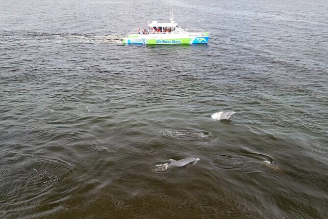 Catamaran Dolphin Cruise in Myrtle Beach with Barrier Island Stop - The Experience in Practice