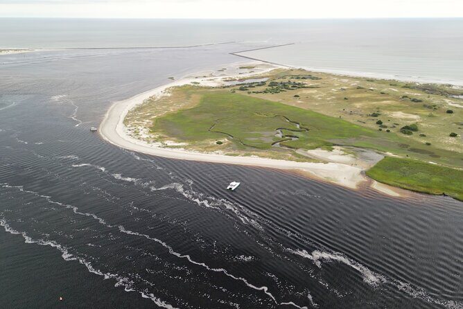 Catamaran Dolphin Cruise in Myrtle Beach with Barrier Island Stop - Authentic Feedback from Travelers