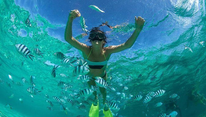 Catamaran Experience to Ile aux cerf: incl: Parasailing, Lunch, GRSE & Transfer - Unpacking the Itinerary: What to Expect