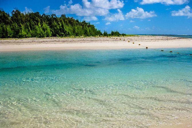 Catamaran Experience to Ile aux cerf: incl: Parasailing, Lunch, GRSE & Transfer - Practical Tips for Your Day on the Water