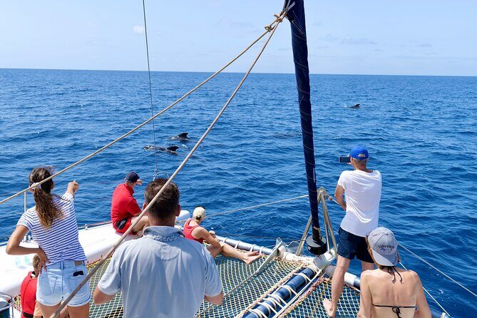 Catamaran Half Day - Beautiful day on the Atlantic Ocean - Key Points