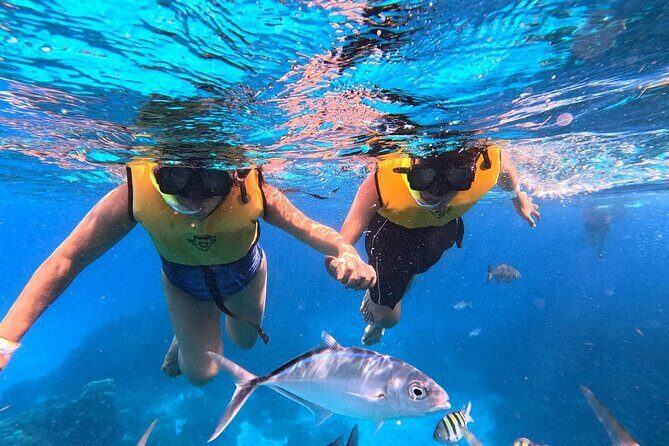 Catamaran in Cozumel with snorkeling at El Cielo and open Bar - Who Will Love This Tour?