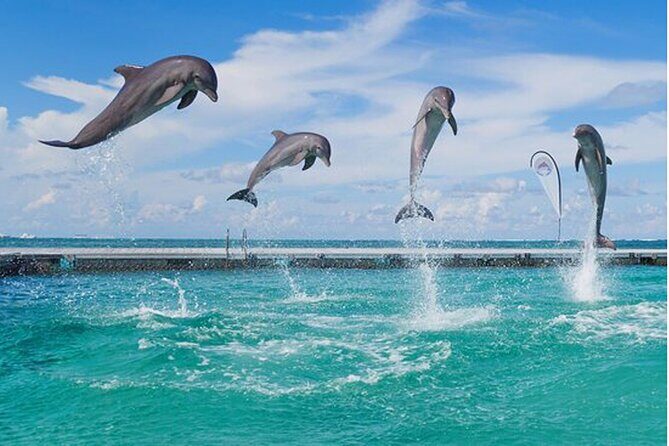 Catamaran Party in Punta Cana with Unlimited Drinks - Why Reviewers Keep Coming Back