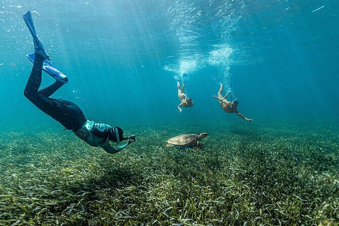 Catamaran Plus Reef Snorkeling and Isla Mujeres Visit - Who Will Love This Tour?