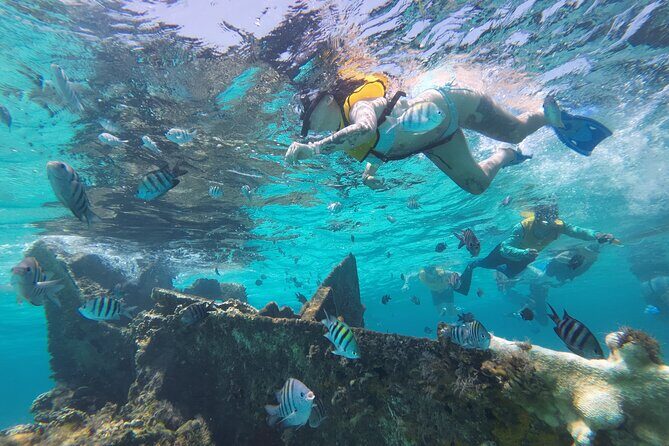 Catamaran Plus Reef Snorkeling and Isla Mujeres Visit - FAQ