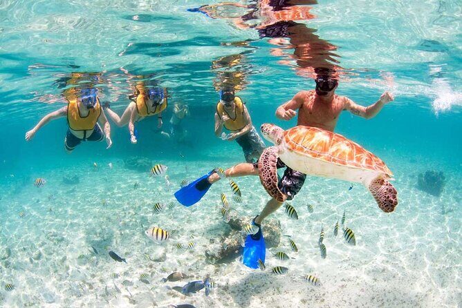 Catamaran Plus Tour to Isla Mujeres with National Open Bar from Cancun - Final Thoughts