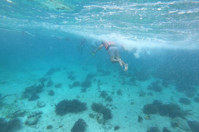 Catamaran Sail with Snorkeling and Beach Club of Isla Mujeres - Return Sailing and End of the Day