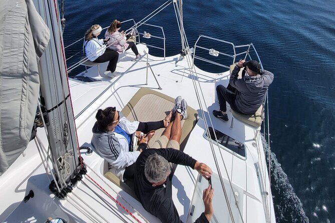 Catamaran Sailing Cruise in Monterey - Exploring the Catamaran Sailing Cruise in Monterey