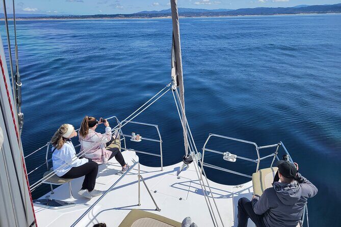Catamaran Sailing Cruise in Monterey - The Sum Up: Why Choose This Catamaran Sailing Cruise?