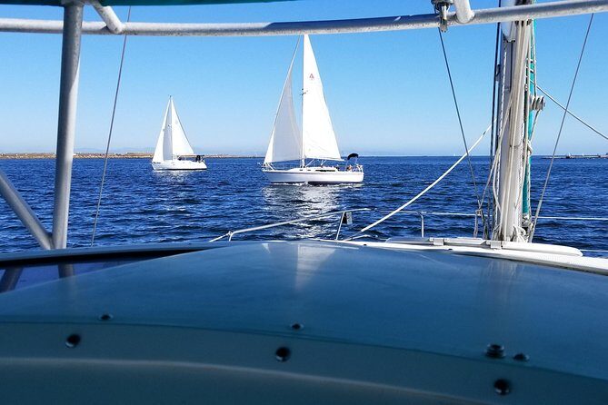 Catamaran Sailing Cruise on San Diego Bay for up to 6 Guests - Price and Value