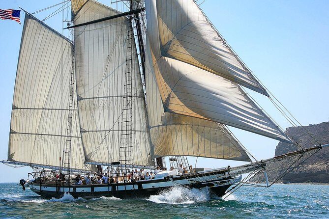 Catamaran Sailing Cruise on San Diego Bay for up to 6 Guests - Practical Tips for Your Trip
