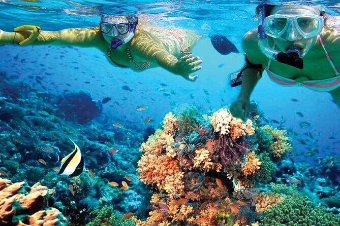 Catamaran Sailing to Isla Mujeres with Snorkeling, Lunch & Open Bar included - Insights from Reviews