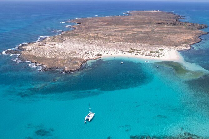 Catamaran Sailing Tour or Whale Watching at Boa Vista - What Is This Tour All About?