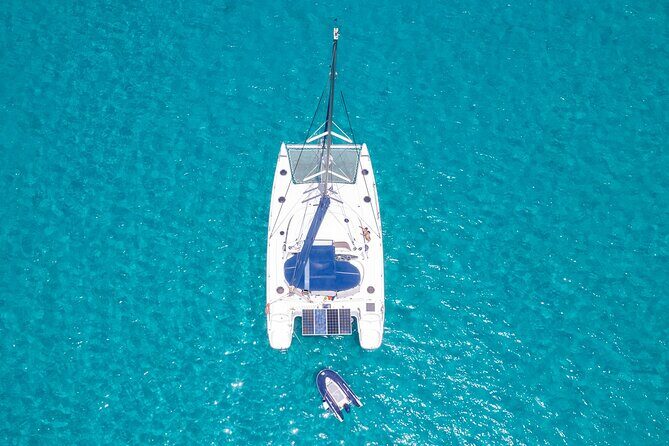 Catamaran Sailing Tour or Whale Watching at Boa Vista - Analyzing the Value