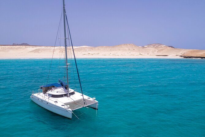 Catamaran Sailing Tour or Whale Watching at Boa Vista - Who Should Consider This Tour?