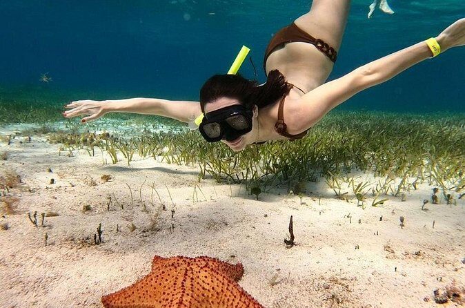 Catamaran Sky Tour in Cozumel - The Sum Up: Is It Worth It?