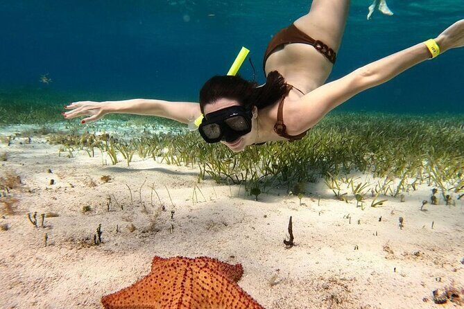 Catamaran Sky Tour in Cozumel - Frequently Asked Questions (FAQ)