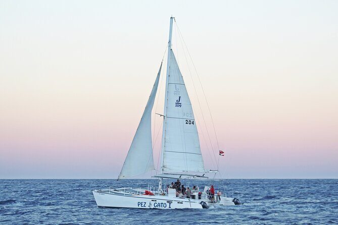 Catamaran Snorkel at Los Cabos! Gorgeous Snorkel & Party + Round Transportation - Key Points