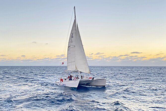 Catamaran Snorkel at Los Cabos! Gorgeous Snorkel & Party + Round Transportation - Who Is This Tour Best For?