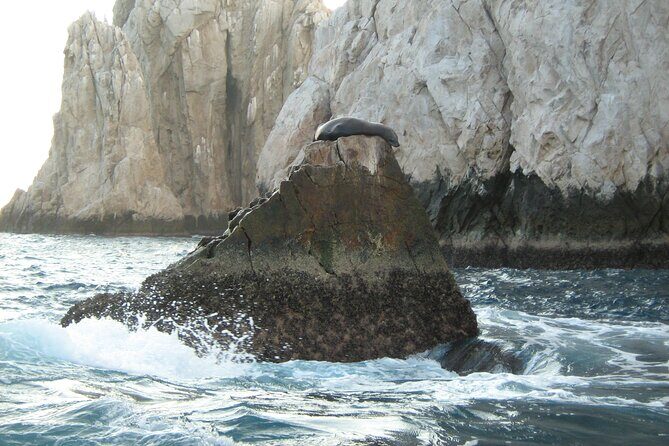 Catamaran Snorkel at Los Cabos! Gorgeous Snorkel & Party + Round Transportation - The Sum Up