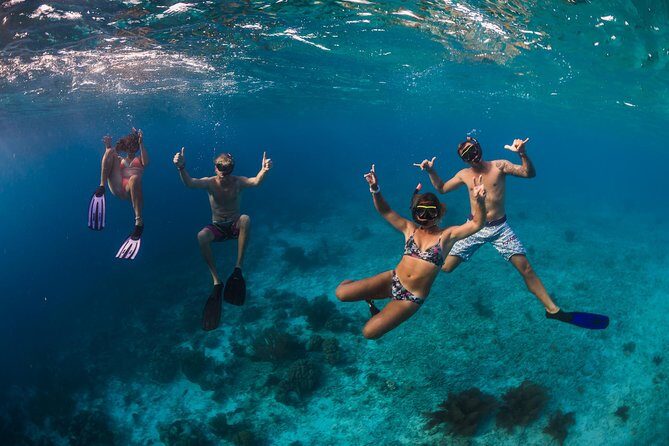 Catamaran Snorkel & BBQ Sail (cruise friendly) - Who Should Consider This Tour?