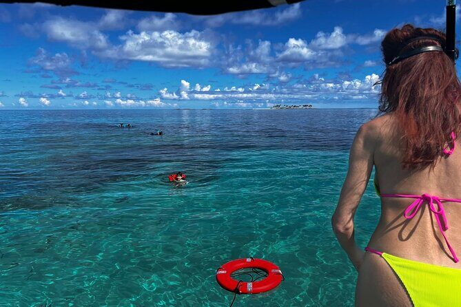 Catamaran Snorkel & Beach Day with Turtles - Key Points