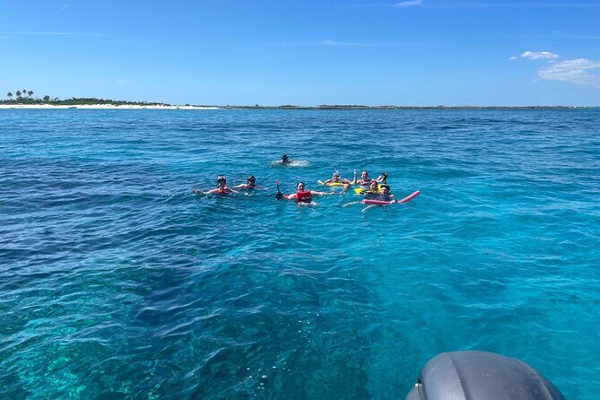 Catamaran Snorkel & Beach Day with Turtles - Who Would Love This Tour?