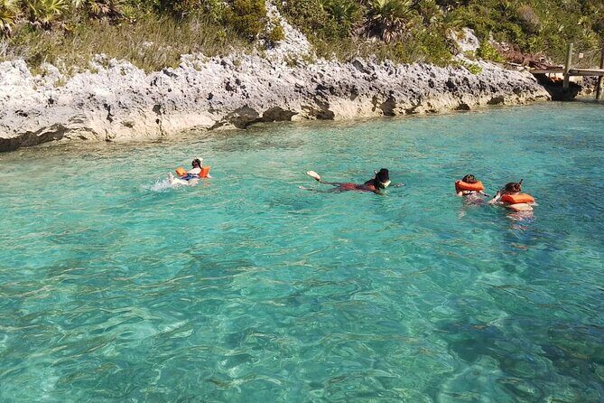 Catamaran Snorkel & Beach Day with Turtles - The Sum Up