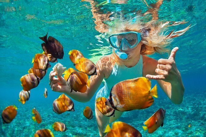 Catamaran Snorkeling All-Inclusive Day-Trip - Introduction