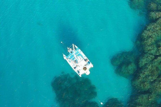 Catamaran, snorkeling & Dunn's River Falls - Key Points