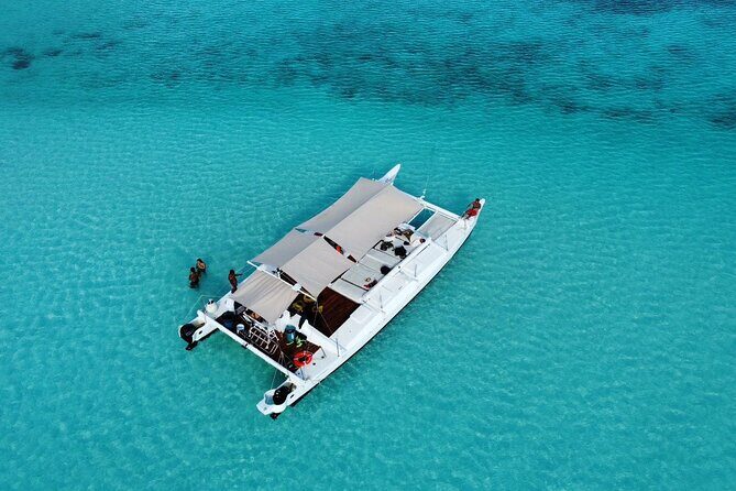 Catamaran Snorkeling to El Cielo and The Money Bar Beach Club - Key Points