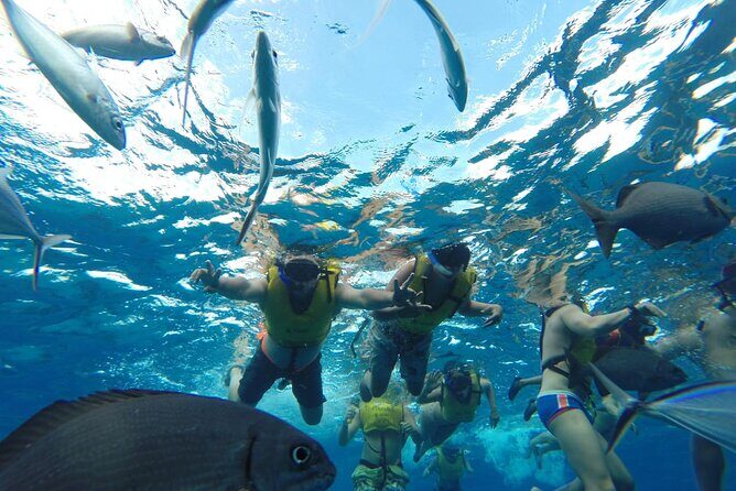 Catamaran Snorkeling to El Cielo and The Money Bar Beach Club - Who Should Consider This Tour?