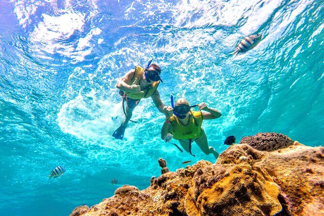 Catamaran Snorkeling to El Cielo and The Money Bar Beach Club - FAQ