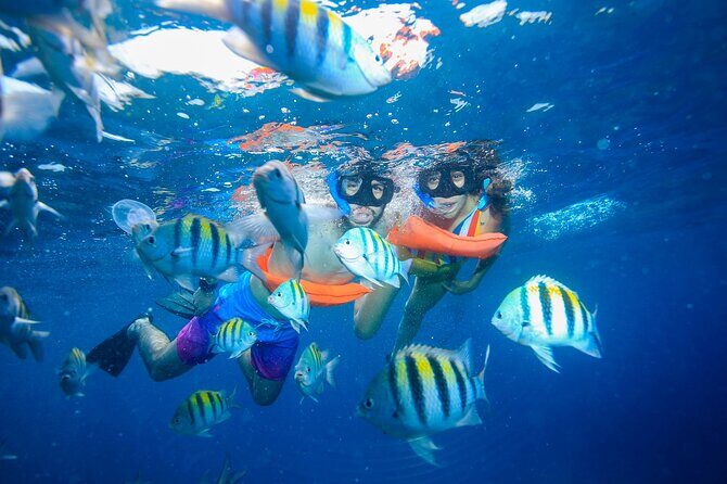 Catamaran Snorkeling Tour from Cancun with Buffet Lunch - Free Time on Isla Mujeres